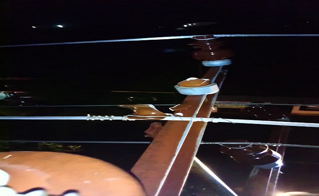 WhatsApp Image 2020-04-21 at 19.13.22 (1)