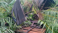 IMG-20210206-WA0018